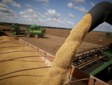 Mato Grosso representou mais de 15% das exportações do agronegócio do país em janeiro